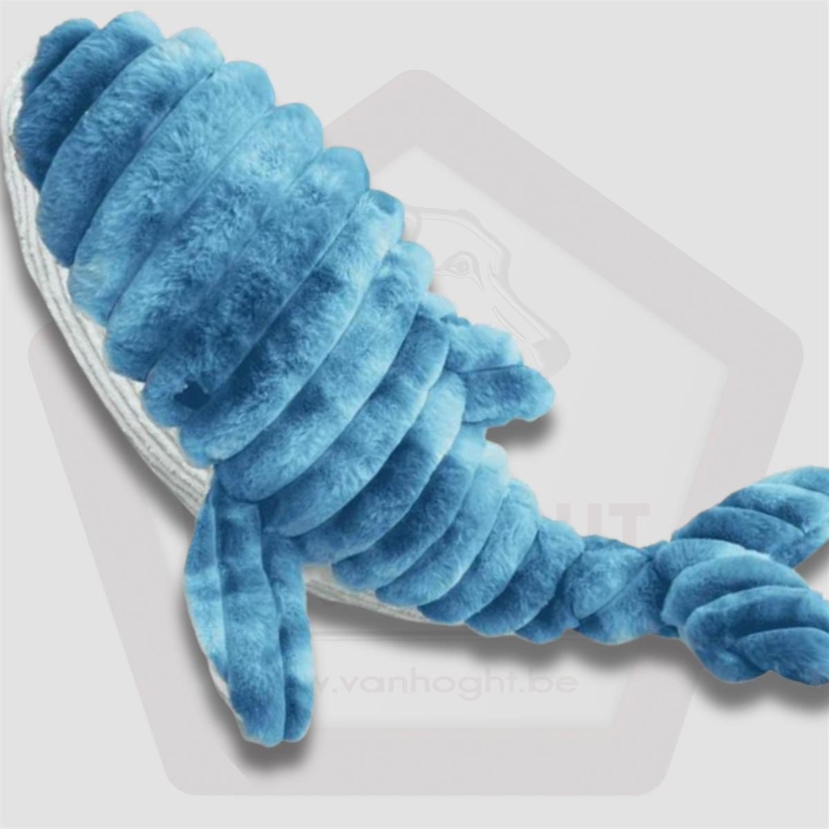 Corduroy XL Eddy Walvis 65cm